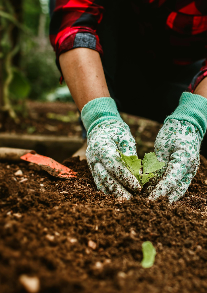 Potting Mix per cubic metre